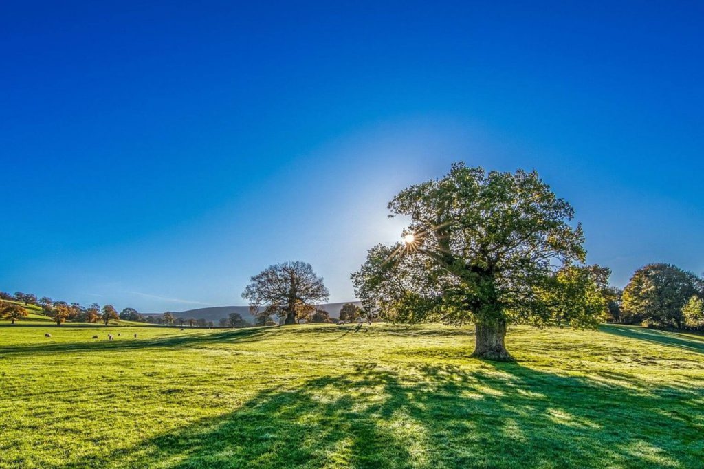 A beautiful landscape in Yorkshire