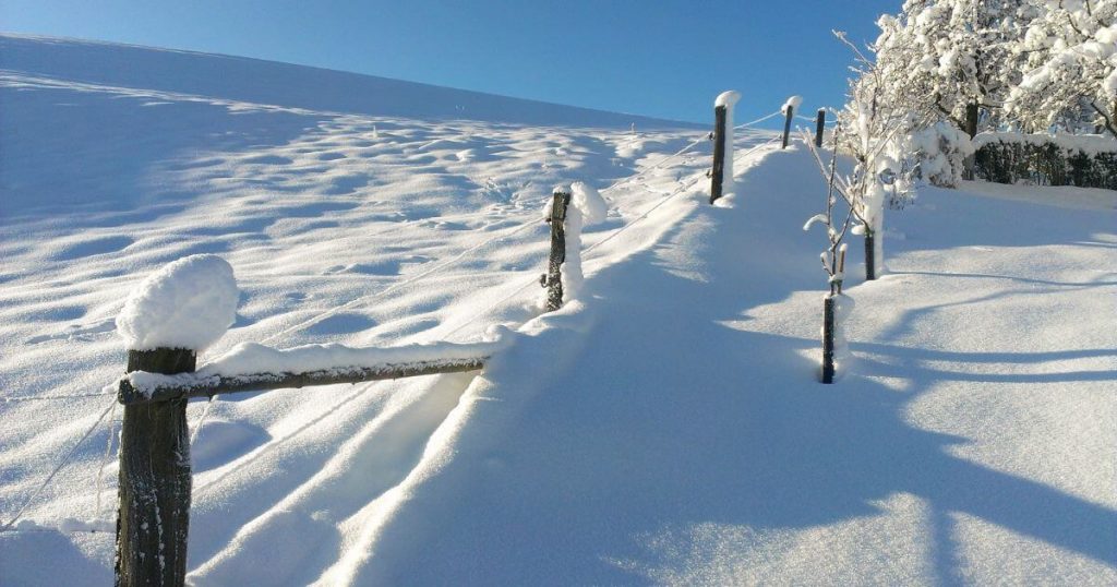 A snowy landscape in Canada