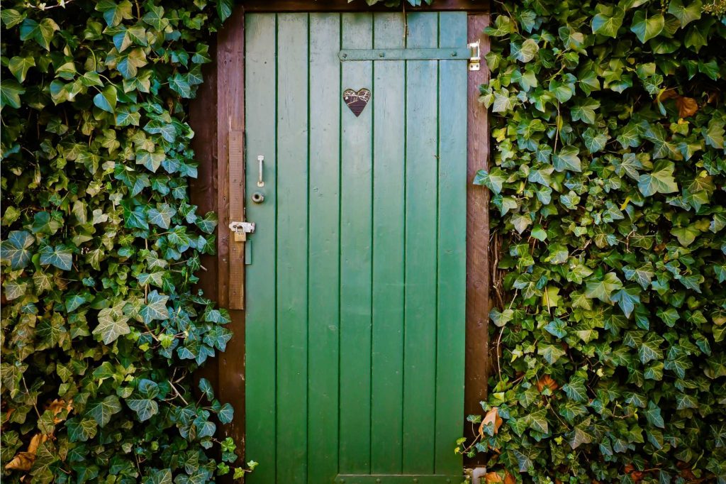 Front Door with foliage