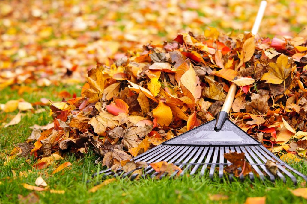 Cleaning Outside