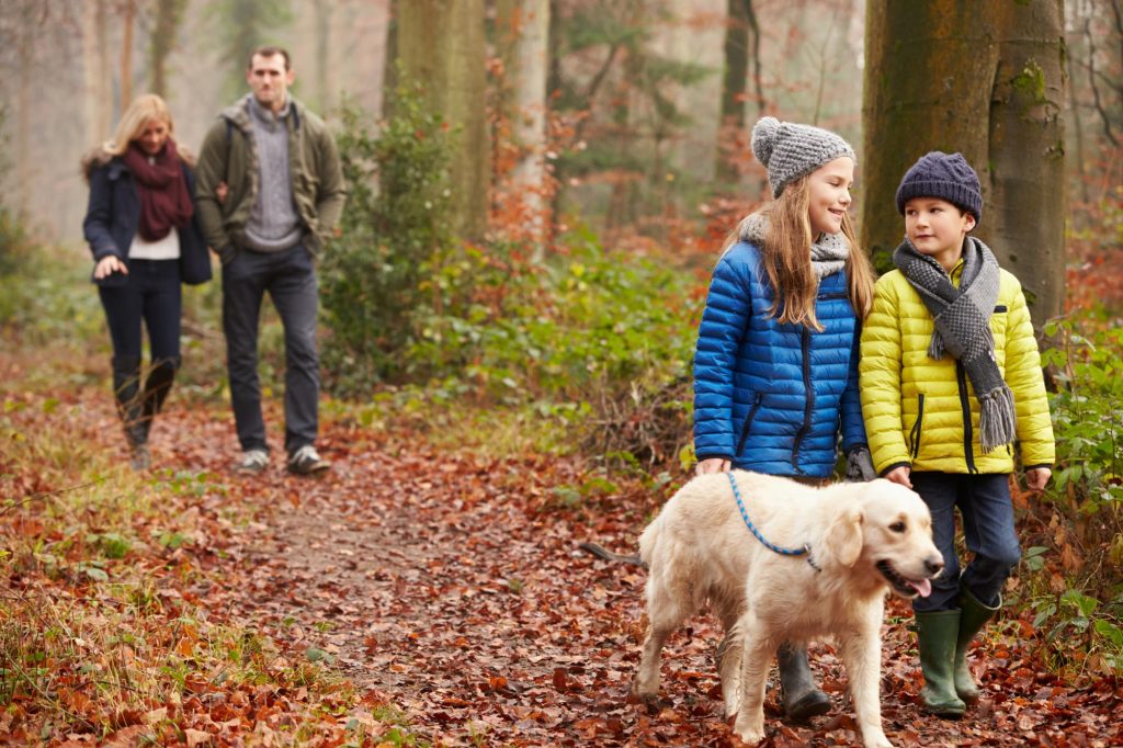 Family Walking Dog Through Winter Woodland